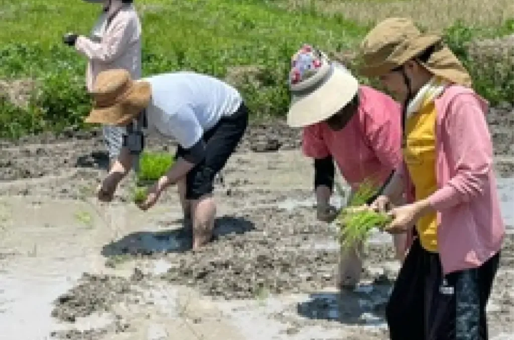 元の氣自然農塾